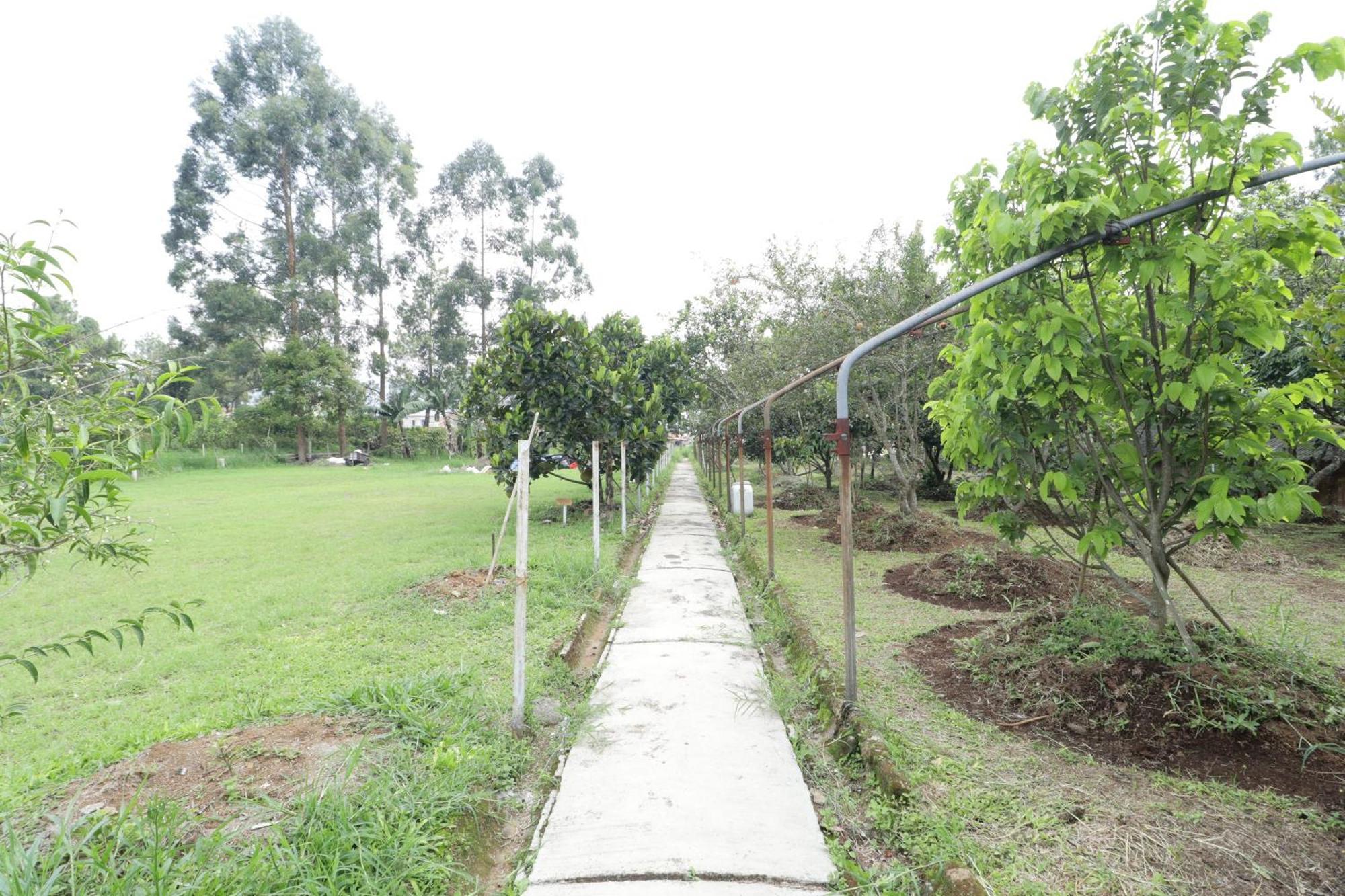 Grand Nirwana Resort Lembang Kültér fotó